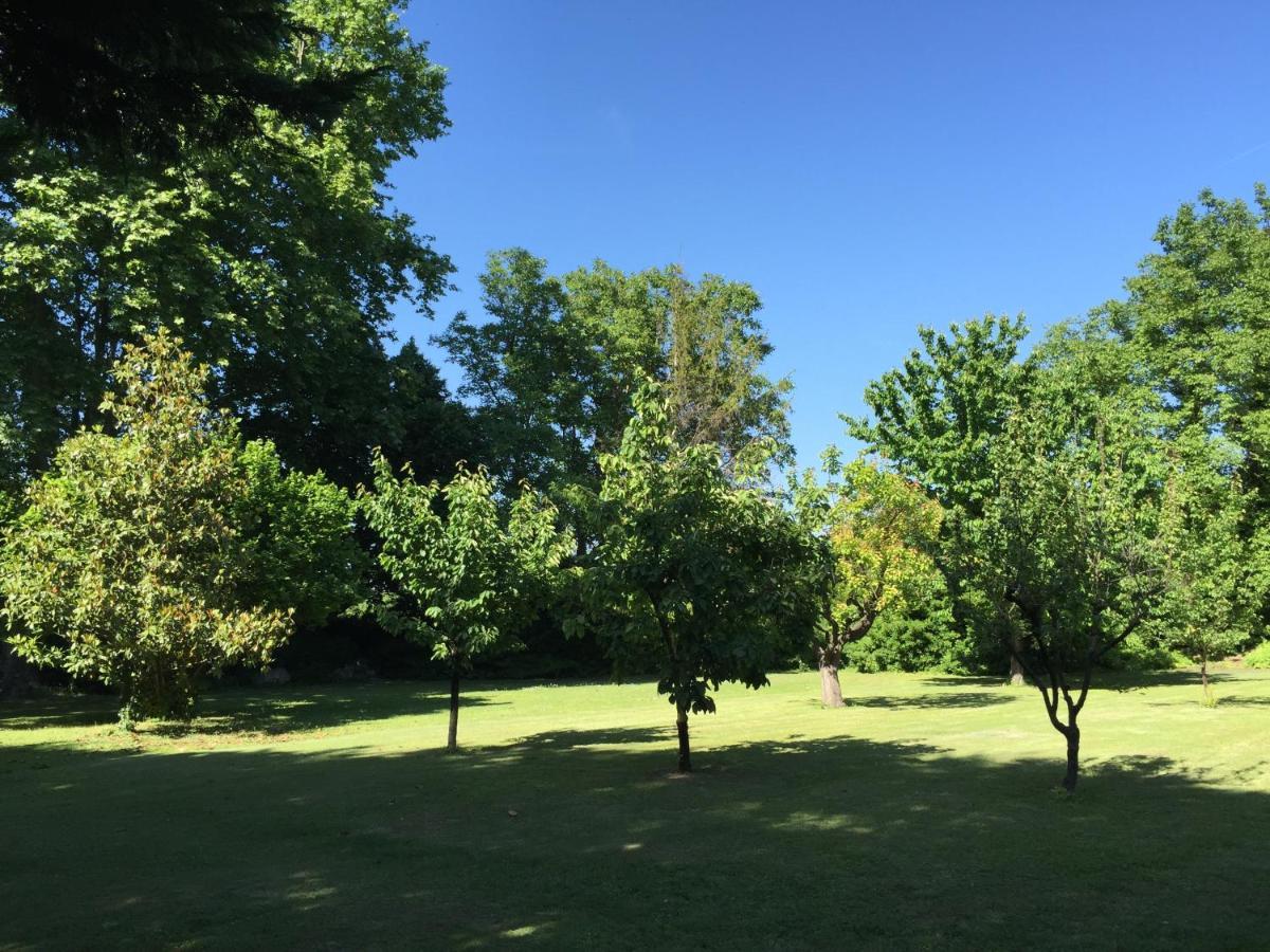 Bed and Breakfast Montjoia LʼIsle-sur-la-Sorgue Exterior foto