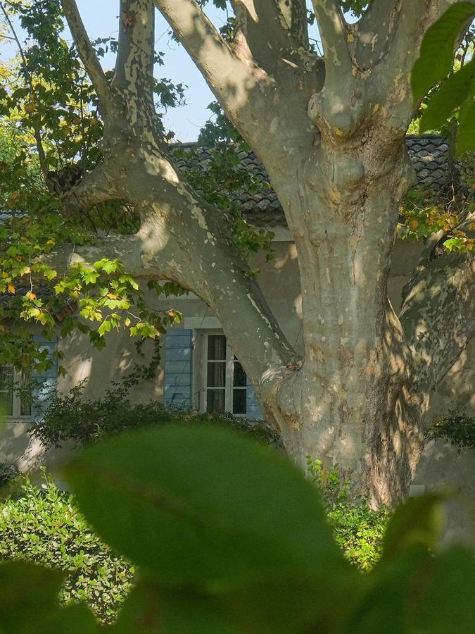 Bed and Breakfast Montjoia LʼIsle-sur-la-Sorgue Exterior foto